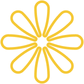 Expert Solutions for Corporate  Financial Success. - 鲸鱼体育直播APP